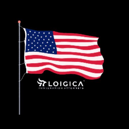 LOIGICA giphygifmaker usa flag loigica GIF