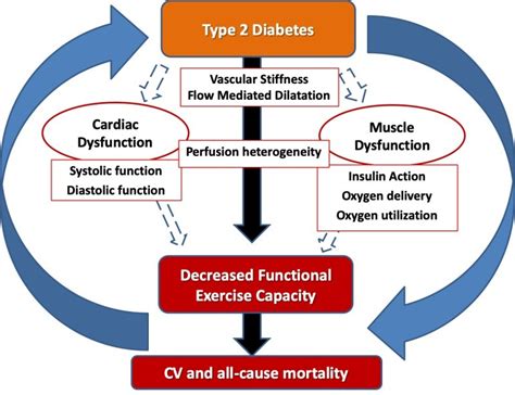 Diabetes Type 2 And Exercise Understanding The Benefits And Implementing Effective Strategies