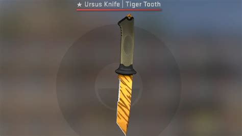 Best Ursus Knife Skins In CSGO Playing History