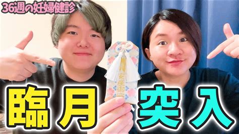 【36週の妊婦健診】ついに臨月に突入しました・・・！ Youtube