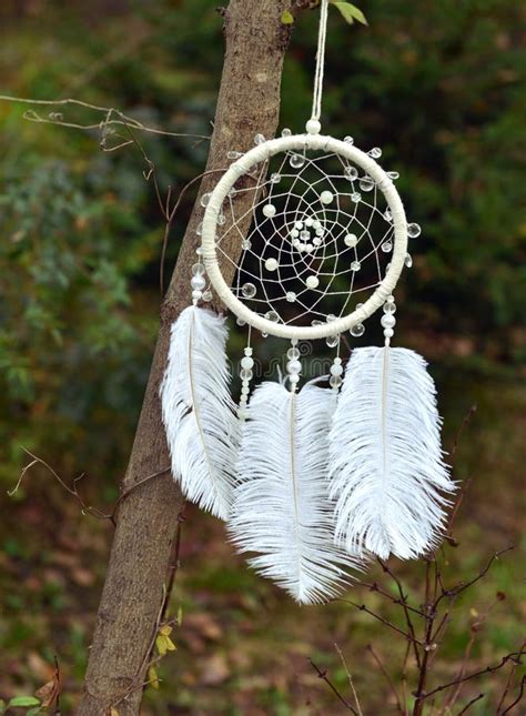 White Dream Catcher Hanging Outside In The Park Stock Image Image Of