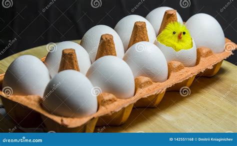 In A Carton Are Ten Eggs A Small Chick Hatched From One Egg The