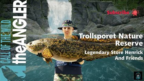 Call Of The Wild The Angler Trollsporet Nature Reserve Legenday Store