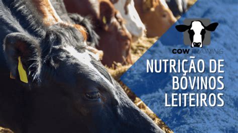 Nutrição e Manejo de Vacas Leiteiras Digital Na Real