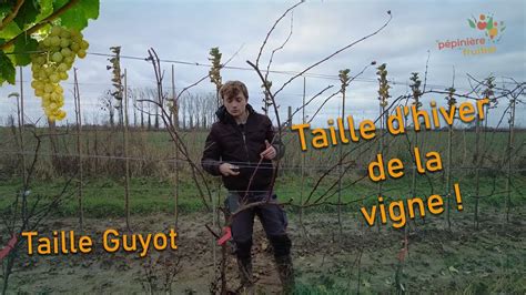 Comment Tailler Votre Vigne En Guyot Youtube