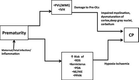 Aetiology And Pathophysiology Of Cerebral Palsy Intechopen