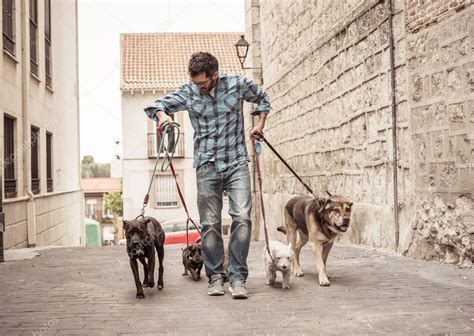 Paseador Profesional De Perros O Ni Era De Mascotas Paseando Un Paquete