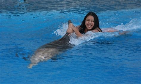 Swimming With Dolphins Panama City Beach 16 Gulf World Marine Park