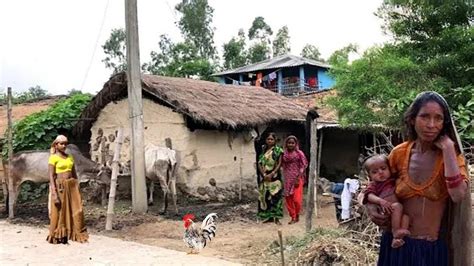 Daily Routine In India Uttar Pradesh Farmer Real Lifestyle Of India