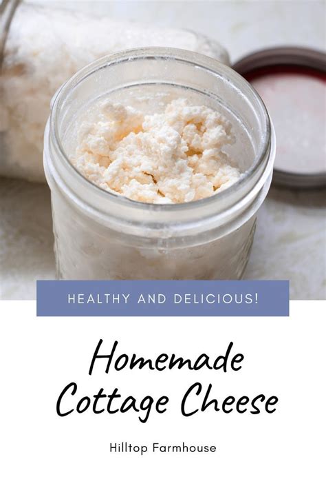 Homemade Cottage Cheese From Scratch Food Cottage Cheese Recipe