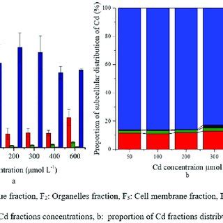 Subcellular Distribution Of Cd In S Portulacastrum Roots