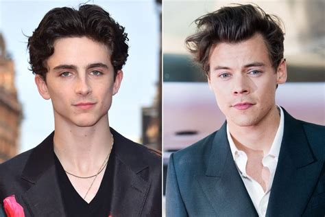 5 things we learned from Timothée Chalamet, Harry Styles interview