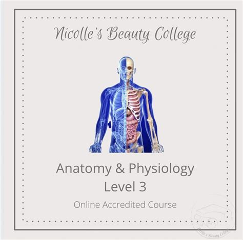 Anatomy Physiology Level Course Online Nicolles Beauty College