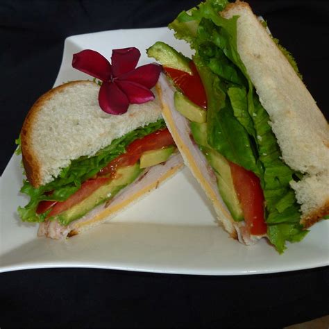 Turkey Bacon Avocado Sandwich Recipe Allrecipes