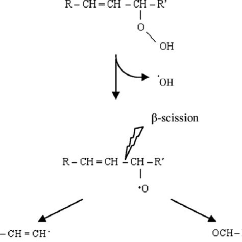 An Example Of Reaction Of Maillard Principle And Different Steps For Download Scientific