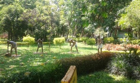 J.p park- mathikere ~ TOURIST PLACES, RESORTS, ONE DAY PICNIC PLACES TO VISIT NEAR BANGALORE