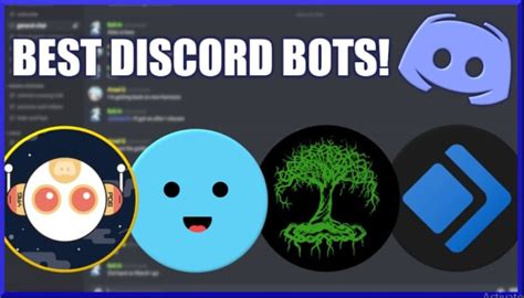 Create Custom Discord Bot By Sarbastian Fiverr