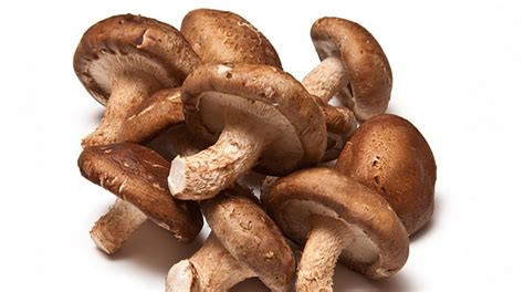 Por Qu Los Hongos Shiitake Son Buenos Para Ti