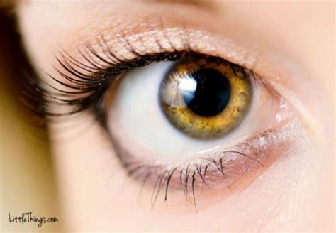 Scientists Say Your Eye Color Reveals Information About Your Personality Onlyviralnow Hazel