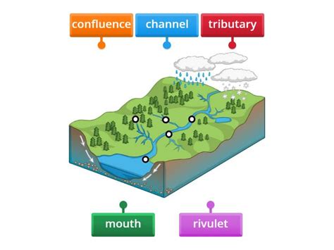 Features of a river lesson 2 - Labelled diagram