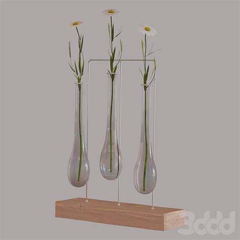 Ромашки в колбах - Букеты - 3D модель