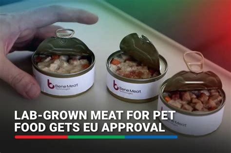 Lab Grown Meat For Pet Food Gets Eu Approval Abs Cbn News