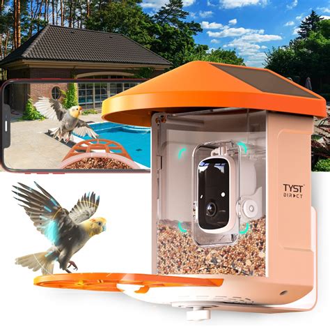 Amazon Sherem Smart Hummingbird Feeder With Camera Smart Ai