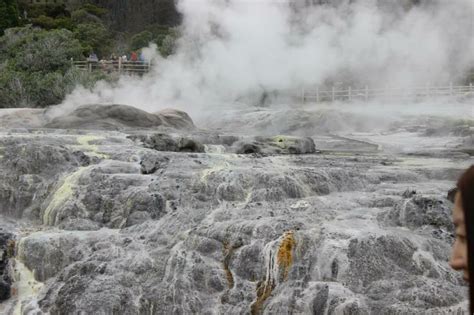 Thermal Geysers, Rotorua | Beautiful locations, Geyser, Christchurch