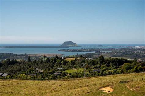 Sunlive Future Tauranga Development Get The Basics Right The Bays