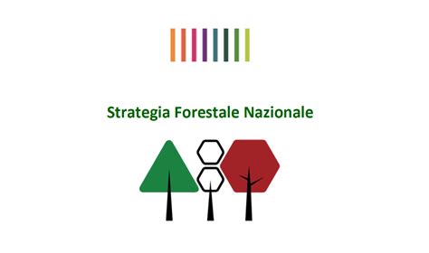 Pubblicata In Gazzetta Ufficiale La Strategia Forestale Nazionale