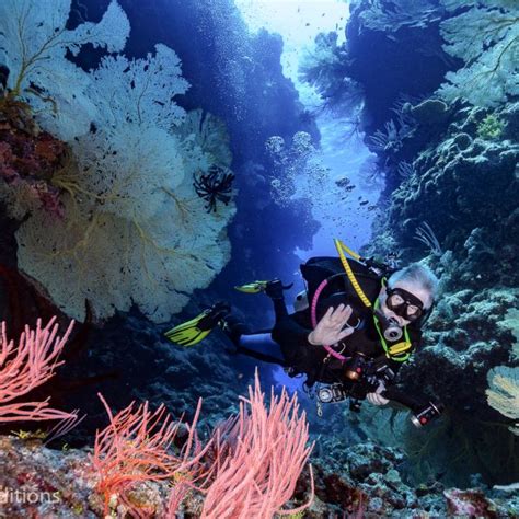 Mike Ball Dive Expeditions - Fly & Sea Dive Adventures