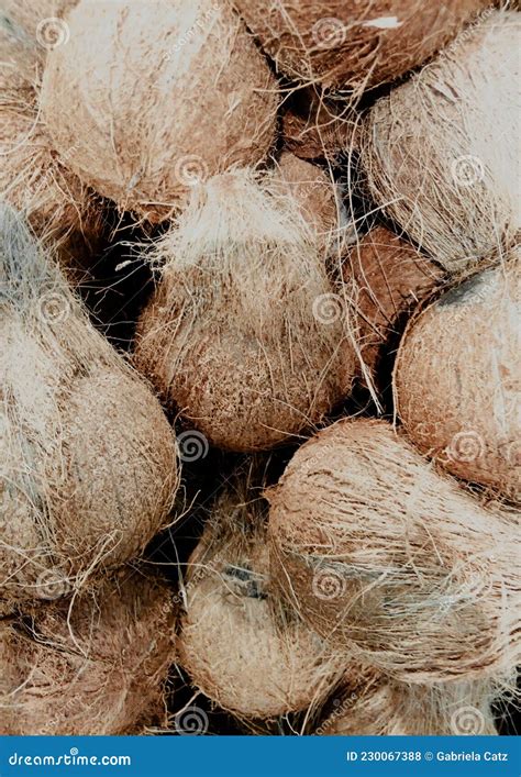 Groupe De Noix De Coco Photo Stock Image Du Dessert