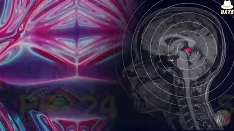 A Comprehensive Breakdown Of The Science Behind The Pineal Gland Third