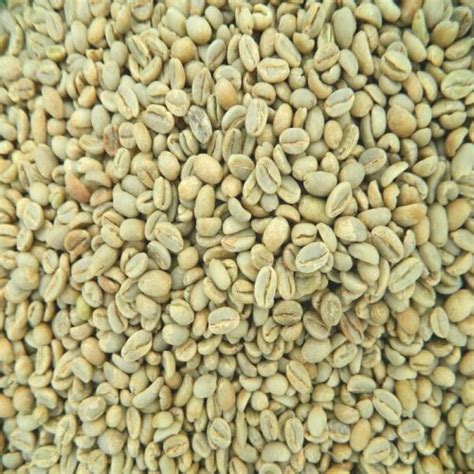 Jual Green Beans Kopi Aceh Gayo Kg Specialty Grade Kota Surabaya