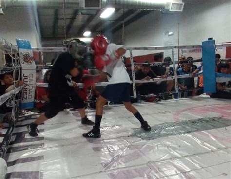 Campeones de boxeo amateur motivan a niños El Pueblo