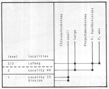 Synthetic Stratigraphy Of Chinese Localities With Chleuastochoerus And