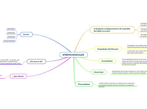 Atrofia Muscular Mind Map