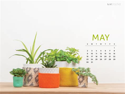 may wallpaper desktop 1