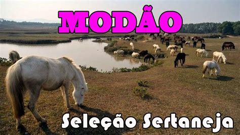 MODÃO Seleção Sertaneja As Melhores Modas Sertanejas Moda de