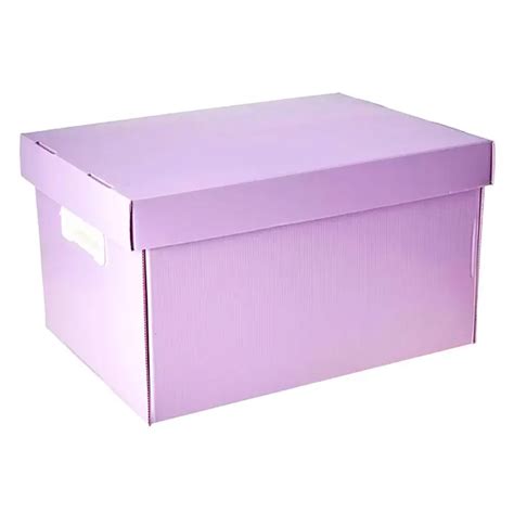 Caixa Organizadora NovaOnda The Best Box G Pastel Polibras Lupel