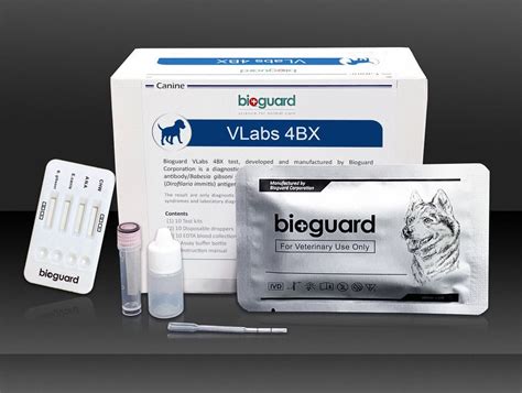 Rapid Infectious Disease Test VLabs 4BX Bioguard Corporation For