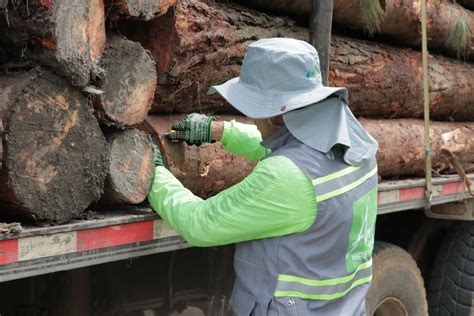 Incautan 717 metros cúbicos de madera ilegal en el Valle de Aburrá