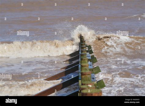 Spurn bird sanctuary hi-res stock photography and images - Alamy