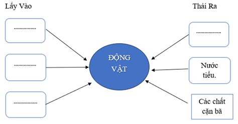 Hoàn thiện sơ đồ thể hiện sự trao đổi nước không khí thức ăn của động