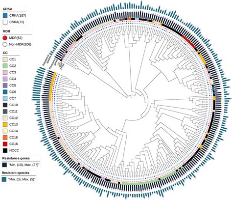 Frontiers Whole Genome Sequencing Analysis Of Klebsiella Aerogenes