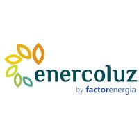 Enercoluz Energia Company Profile Valuation Investors