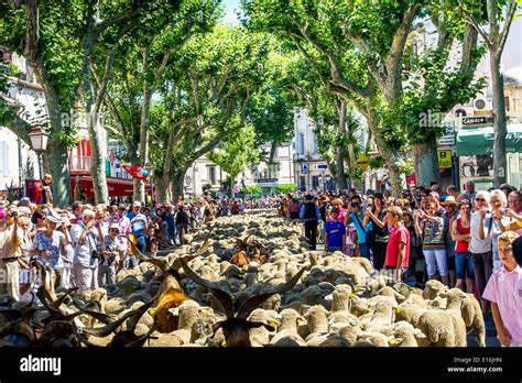 Europe France Bouches Du Rhone Saint Remy De Provence Festival Of