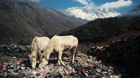 The Unseen Story Of Everest Trash Martin Edström