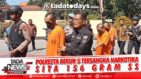 POLRESTA BEKUK 5 TERSANGKA NARKOBA SITA 156 GRAM SS YouTube