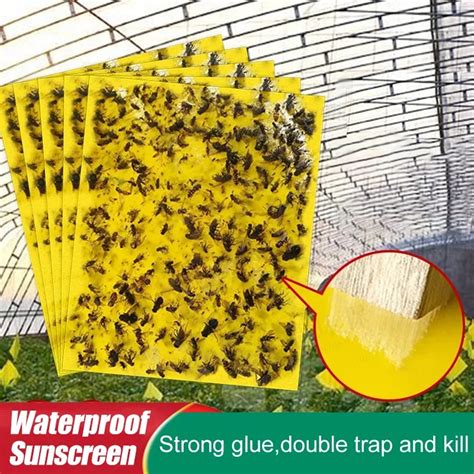 Tablero De Insectos Pegajoso Potente Atrapamoscas Amarillo Azul